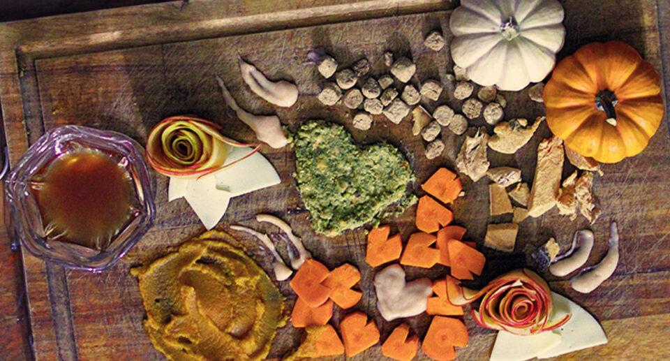 How To Make Barkuterie – Charcuterie for Dogs