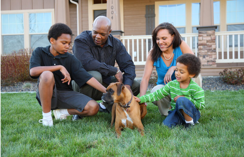 5 Fun, Safe Activities for Dogs and Kids