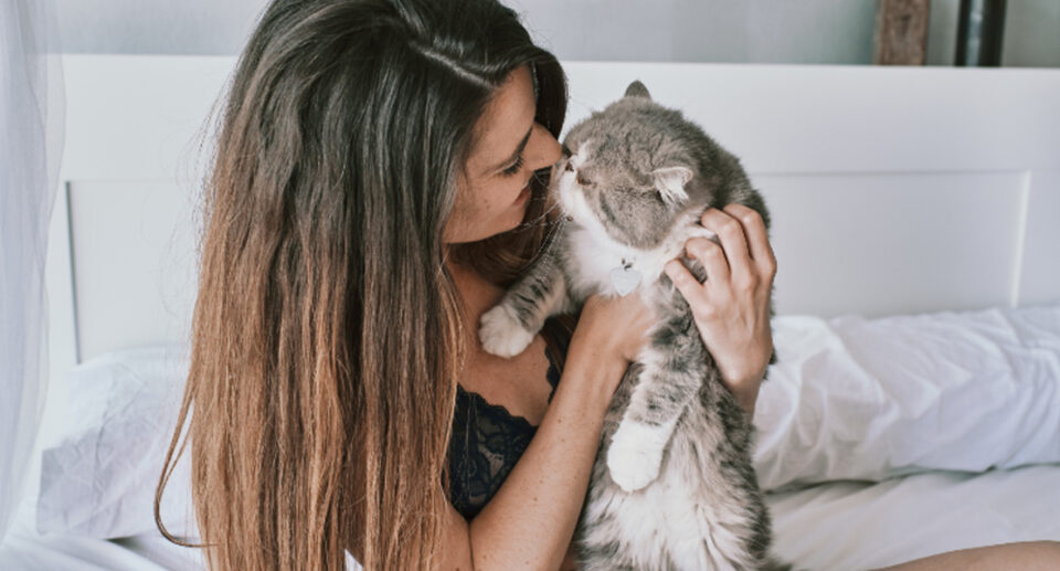 Reduce Your Cat’s Anxiety and Stress