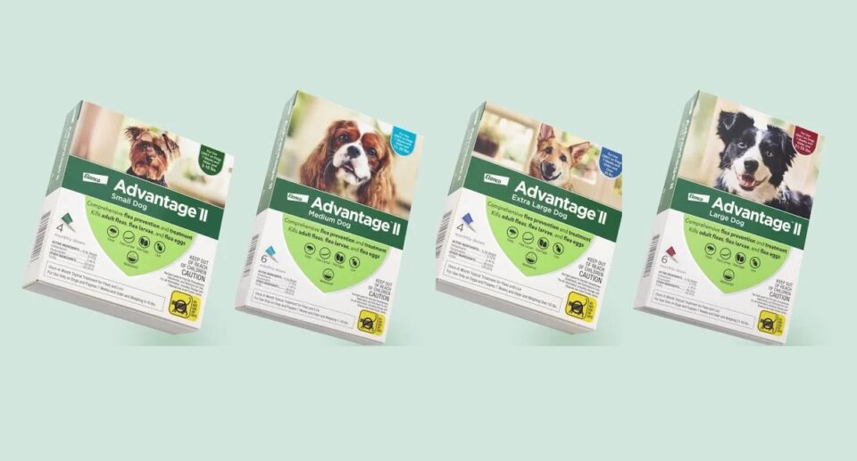 Four boxes of Advantage II flea treatment display different size options against a mint background.