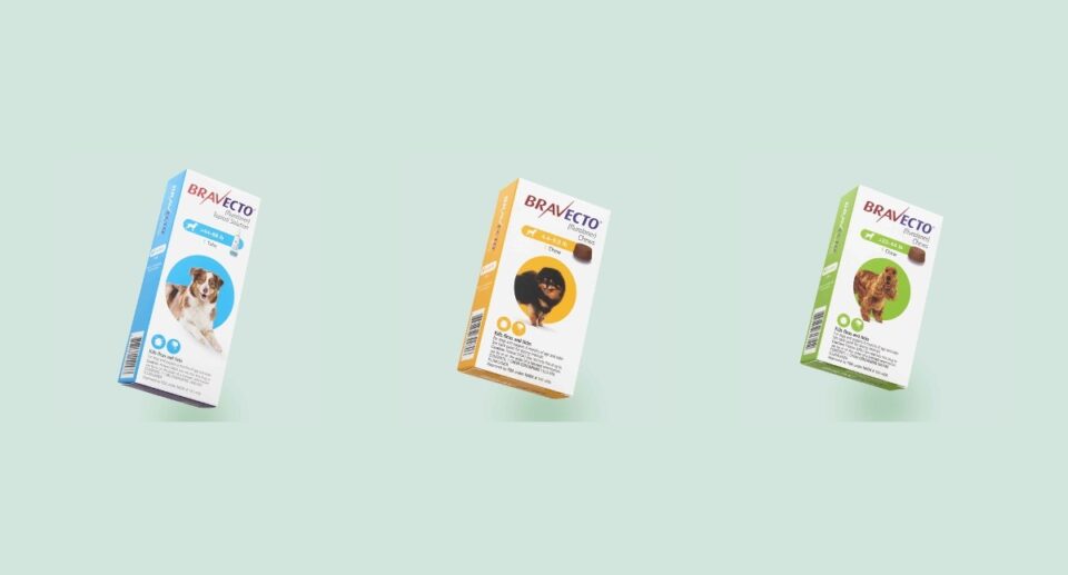 Three different sized Bravecto boxes float against a mint green background, showing the range of flea and tick protection options