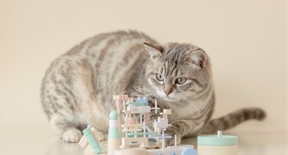 A playful domestic cat with sleek fur interacts with a sophisticated puzzle toy, featuring blue and green elements, on an ivory background.