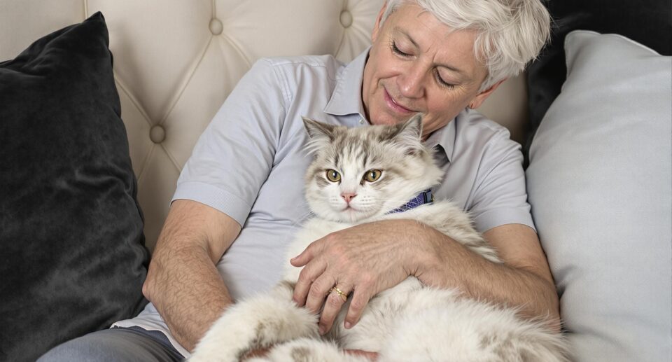 Inflammatory Bowel Disease in Cats