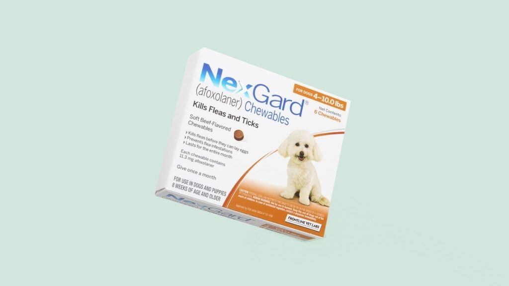 A box of NexGard chewables floats against a mint background, highlighting safe flea and tick protection.