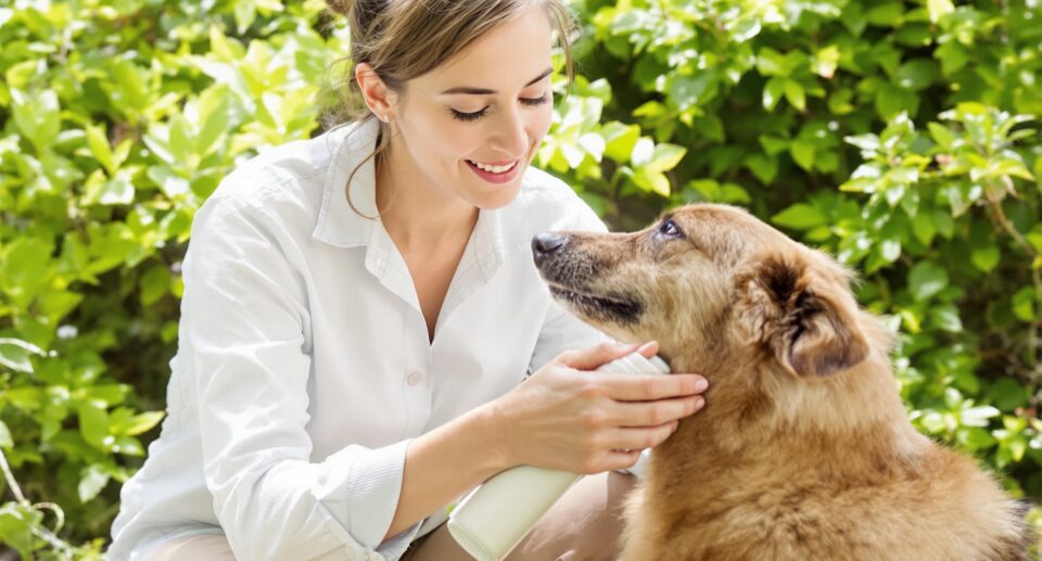 Protect Your Dog From Loss & Theft