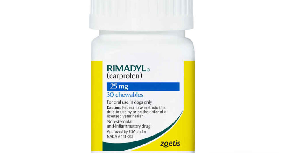 Rimadyl for dogs