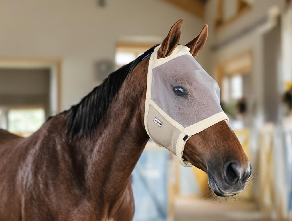 A well-groomed horse with a fly mask in a stable, related to swollen eyes in horses.