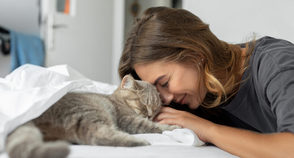 How Much Do Cats Sleep? Decoding Your Cat’s Sleep Cycle