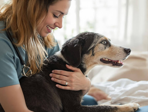 Woman hugging black and brown dog